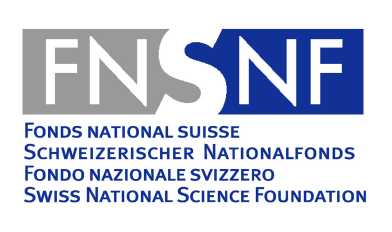 Logo snf