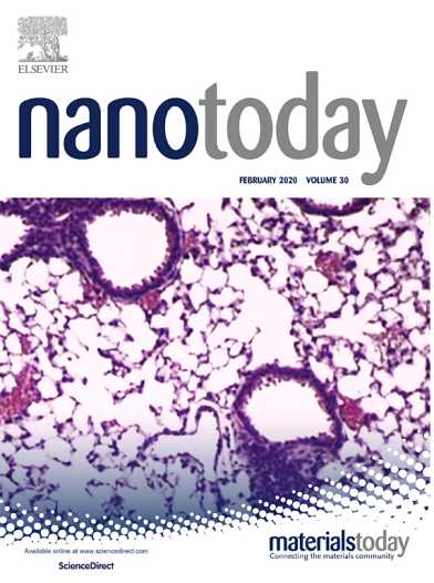 Cover Nano Today